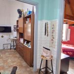 50ad5df6-deb5-4745-a853-e4c04449a4ae